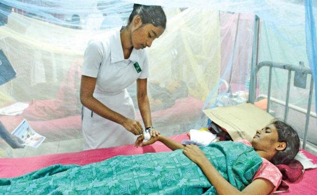 महानगर में बढ़ रही डेंगू के मरीजों की संख्या