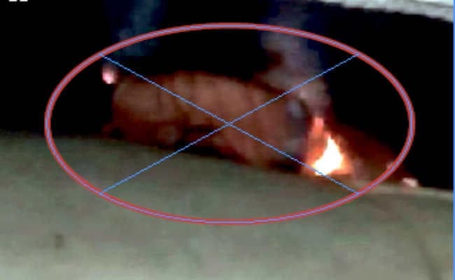 मालदा : आत्महत्या के प्रयास में बुरी तरह जला अधेड़