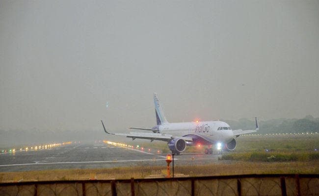 पटना एयरपोर्ट पर हादसों को चुनौती देता घास का मैदान, पक्षियों के विमान से टकराने की बनी रहती आशंका
