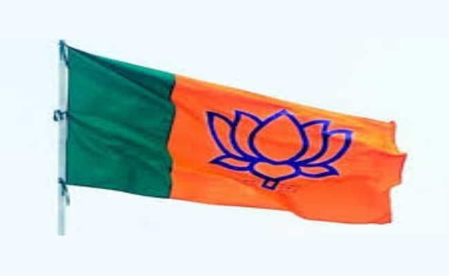 पेड़ की फुनगी पर भाजपा के झंडे ने मचायी खलबली