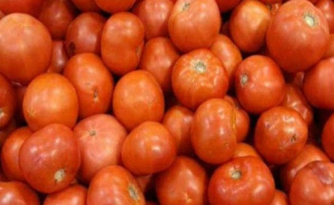 यहां हीरे-मोती नहीं टमाटर लूट रहे हैं लुटेरे, किसानों ने रखे हथियारबंद गार्ड