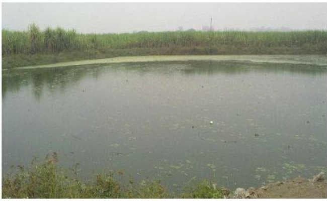 गला रेत युवक की हत्या, तालाब में फेंका मिला शव