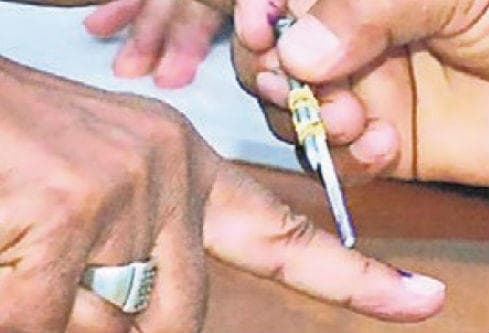 पैक्स चुनाव: अंतिम चरण की अधिसूचना हुई जारी