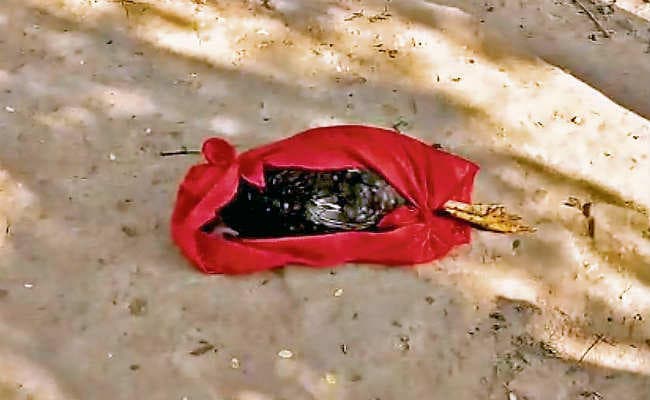 कैमूर में मुर्गे का कत्ल सात लोगों पर केस