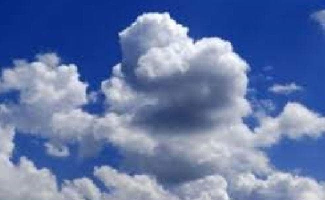 सामान्य से कम पड़ रही है ठंड, फूल व रबी की खेती पर पड़ रहा असर