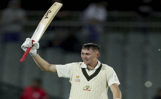 डे-नाइट टेस्ट : वार्नर और लाबुशेन के नाबाद शतक से आॅस्ट्रेलिया मजबूत स्थिति में