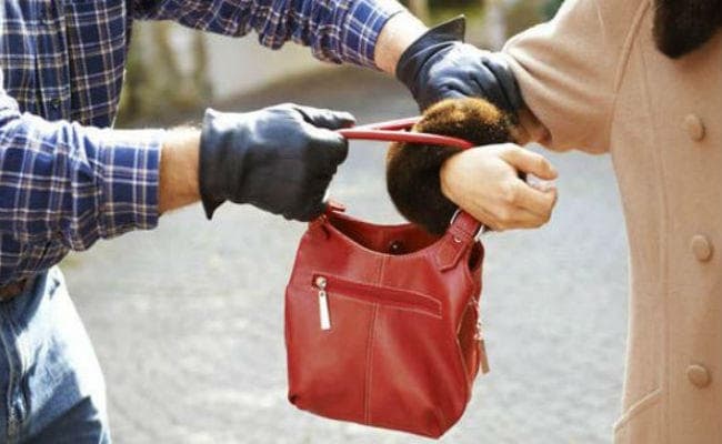 युवती का पर्स छीनने वाले गिरफ्तार