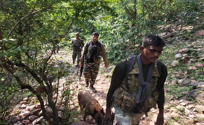 लखीसराय : सर्च आपरेशन के दौरान कोबरा बटालियन व नक्सलियों के बीच मुठभेड़