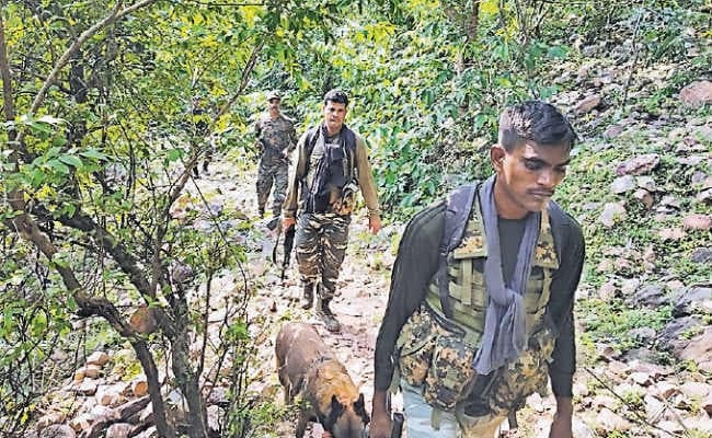 लखीसराय में पुलिस और नक्सलियों के बीच मुठभेड़, एक राइफल, दो डेटोनेटर व बैग बरामद