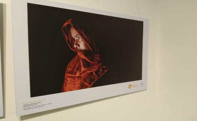 नयी दिल्ली में 5 दिसंबर तक चलेगी आंद्रेई स्टेनिन इंटरनेशनल फोटो प्रदर्शनी