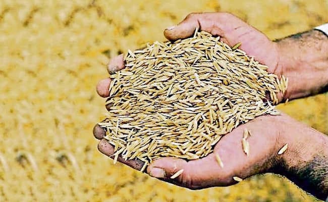 21811 किसानों ने धान बिक्री को कराया निबंधन