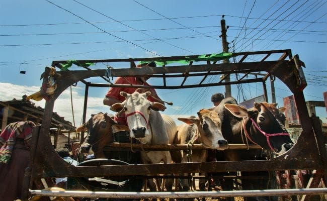 बंगाल सरकार पर गौ तस्करी में शामिल लोगों को संरक्षण देने का आरोप लगाया