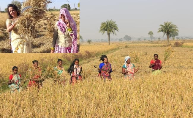 Jharkhand Election 2019 : जामा के रामगढ़ में झारखंड की स्टेफी टेरेसा का ‘हेमा मालिनी’ अवतार