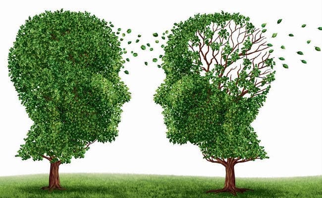 समस्त सृष्टि के मूल हैं प्रकृति-पुरुष, दांपत्य में पुरुष बाहरी कवच, तो स्त्री आंतरिक कवच