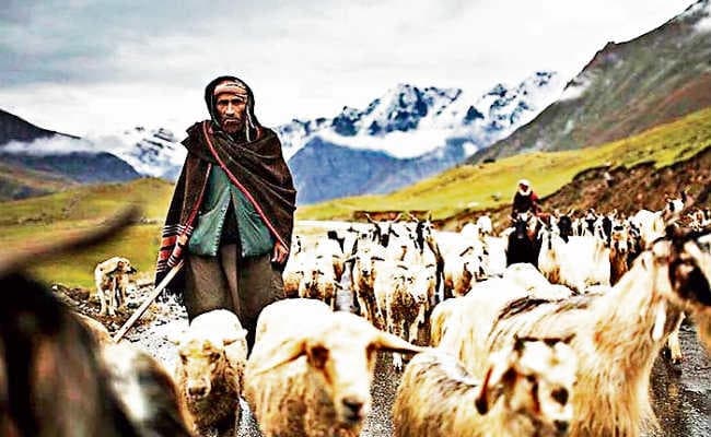 घुमंतू जिंदगी के रूबरू