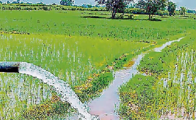 पटना : एक व्यक्ति को रोज मिलेगा 70 लीटर पानी, मॉनीटरिंग को वार्डों में सेंसर