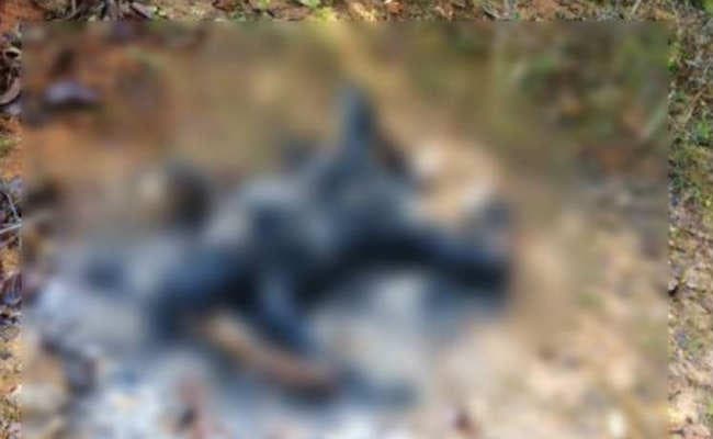 युवती की मिली थी अधजली लाश, अभी तक तीन गिरफ्तार