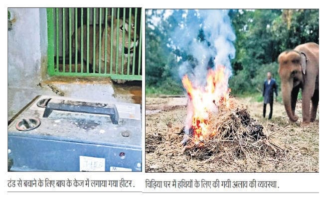 ओरमांझी : हाथी के लिए अलाव व बाघ, तेंदुआ के लिए हीटर