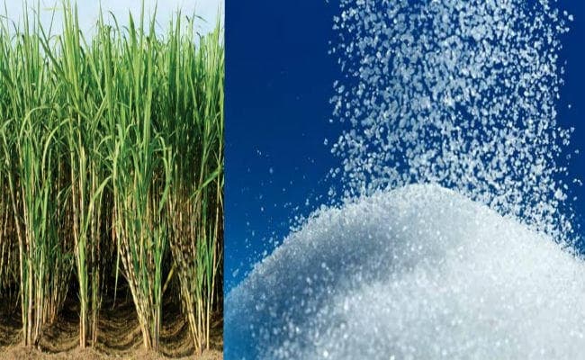 चीनी के उत्पादन में 35 फीसदी की गिरावट, 15 दिसंबर तक 45.8 लाख टन प्रोडक्शन