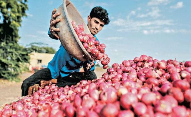 जनवरी में घट सकती है प्याज की कीमत