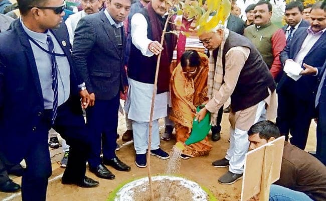 हरियाली यात्रा : मिल-जुल कर रहें तो बिहार की इज्जत और बढ़ेगी : सीएम नीतीश कुमार