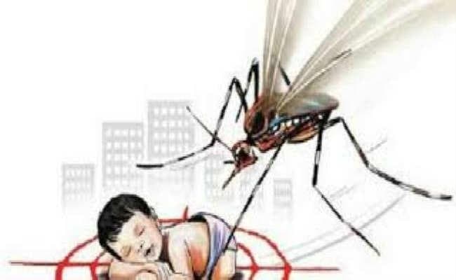 जेपनिज इंसेफ्लाइटिस से बचाव की तैयारी शुरू नौ जिलों में चलेगा अभियान