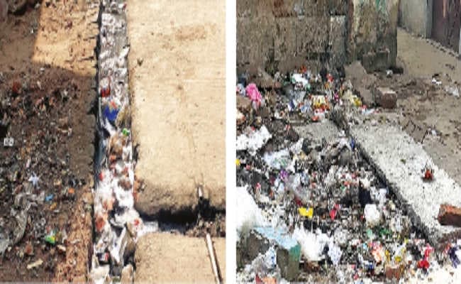 वार्ड के हर क्षेत्र में सफाई को लेकर लोगों की नाराजगी चरम पर