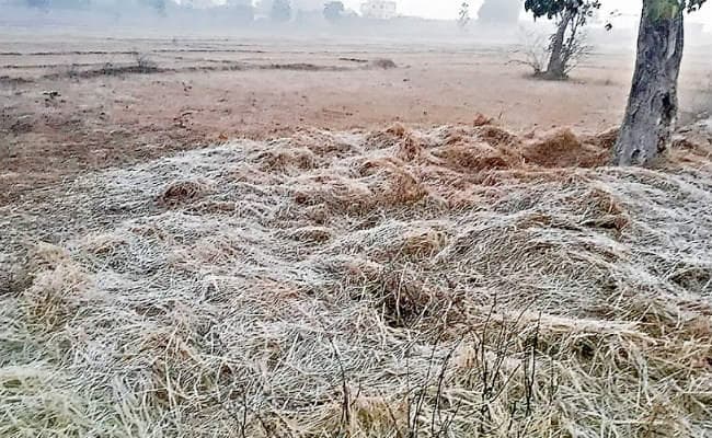 कांके में पड़ रही शिमला से भी ज्यादा ठंड, लगातार दूसरे दिन पारा शून्य से नीचे
