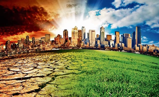 धरती बचाने की चुनौती, बहुत जरूरी है जल संरक्षण, वन्य जीवों पर मंडरा रहा खतरा