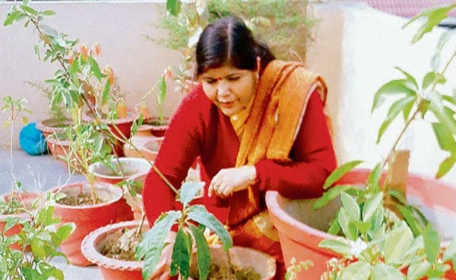 अपनी बगिया की रजनीगंधा से मनाती हूं शादी की सालगिरह