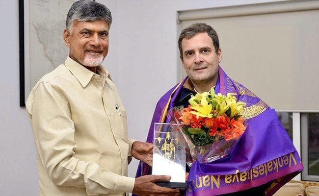 राहुल गांधी से मिले चंद्रबाबू नायडू, विपक्षी एकता की रणनीति पर हुई चर्चा