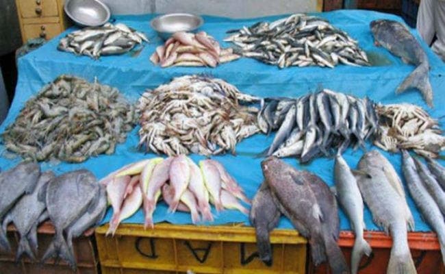 पटना : जिलों से भी आंध्र की मछलियों का लिया जायेगा सैंपल