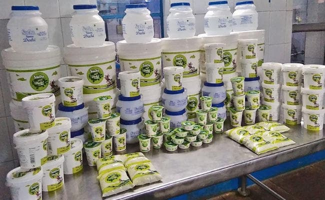 मकर संक्रांति के अवसर पर डेनमार्क के जोरन का दही खायेगा पटना