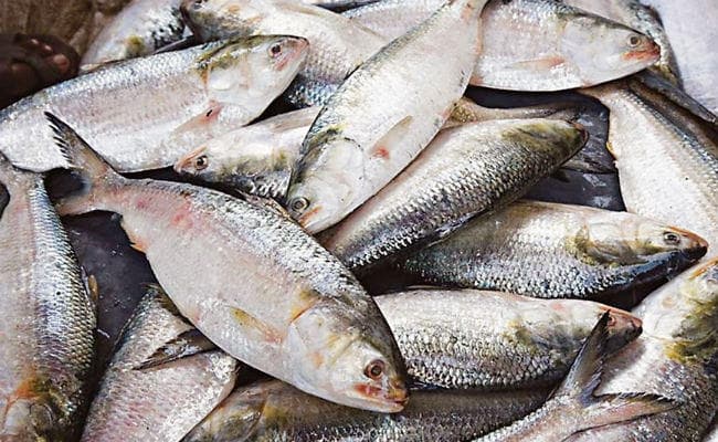 पटना : प्रदेश में नहीं होगी मछली की कमी, विभाग तैयारी में जुटा