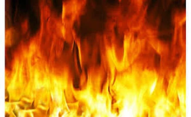 पशुओं को खाने के लिए रखे नेवारी के पुंज में लगी आग, लाखों रुपये का नुकसान