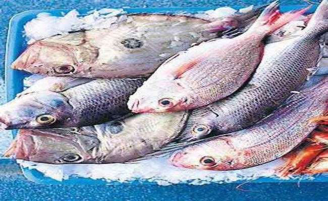 पटना में आंध्र प्रदेश और पश्चिम बंगाल की मछली की बिक्री पर रोक, पूरे राज्य से जांच को भेजा जायेगा सैंपल