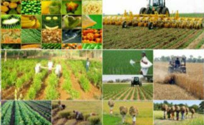 कृषि निर्यात नीति पर राज्यों में कार्यशालाओं का आयोजन करेगी मोदी सरकार