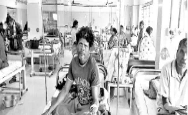 पुरुलिय : रघुनाथपुर में मधुमक्खियों ने दस को काटा, गंभीर