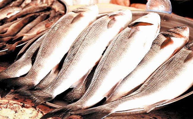 पटना में आंध्र व बंगाल की मछलियों की खरीद-बिक्री पर लगा प्रतिबंध, हो सकती हैं कई बीमारियां