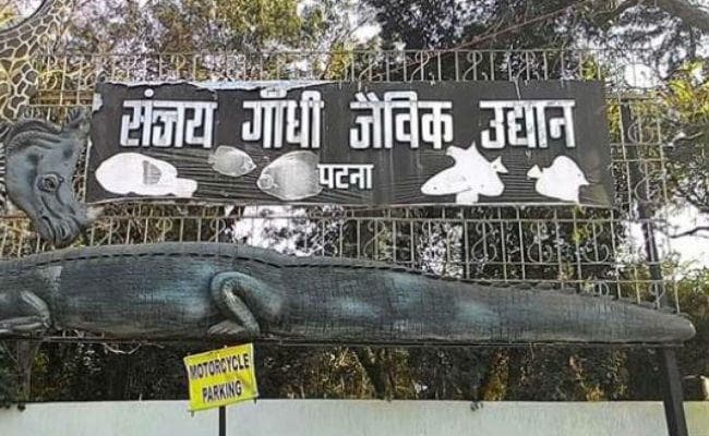 पटना : जू से जांच के लिए आज फिर जायेगा सैंपल