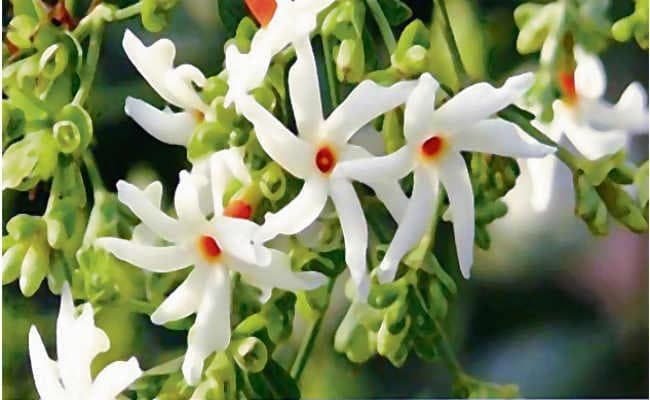 शुक्र को नाराज करने से बनता है दुख का कारक