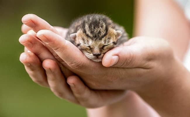 आदर्श मनुष्य वह है, जो सत्कर्मों का फल ईश्वर को करे समर्पित