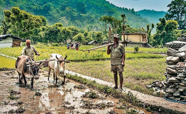 2050 के बाद दूध के लिए तरस जायेगा भारत