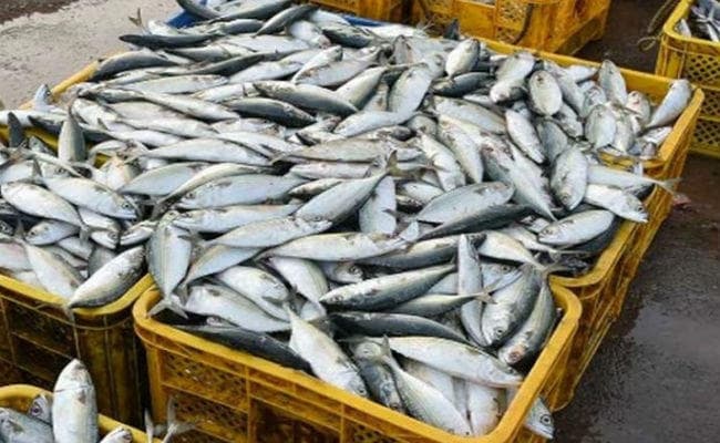 पटना : मछली से बैन हटाने के लिए आंध्र के सीएम ने लिखा पत्र