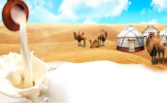 अमूल ने गुजरात के गांधीनगर, अहमदाबाद और कच्छ के बाजारों में पेश किया ऊंटनी का दूध