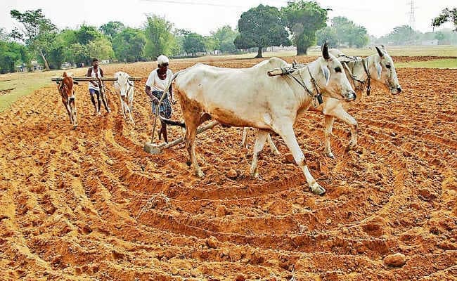 झारखंड बजट 2019-20 : किसानों को प्रति एकड़ मिलेंगे पांच हजार, बजट का आकार 7231 करोड़ रुपये