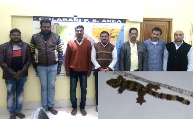 हावड़ा में विलुप्‍त प्रजाति की छिपकली बरामद, तस्‍करी के आरोप में 7 गिरफ्तार