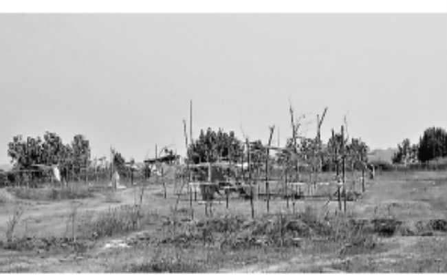 बंद होगा पुनर्वास परियोजना का नामोकेशिया प्रोजेक्ट!