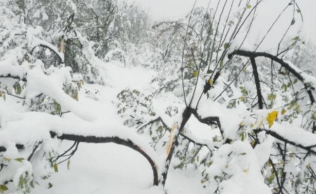 कश्मीर में बर्फबारी के चलते जम्मू-श्रीनगर हाईवे छह दिन से बंद, जवाहर सुरंग सोमवार से बाधित