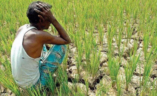 किसानों को मिल सकती है खुशखबरी, राहत पैकेज की जल्द हो सकती है घोषणा
